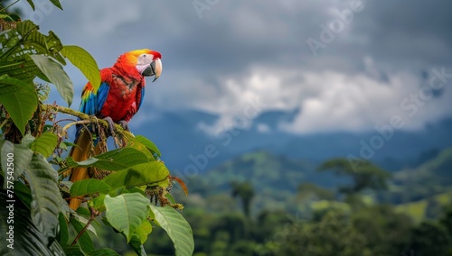 A colorful parrot perched on the branch of an ancient tree, surrounded by lush greenery in the edge In the background, distant mountains can be seen under a cloudy sky Generative AI