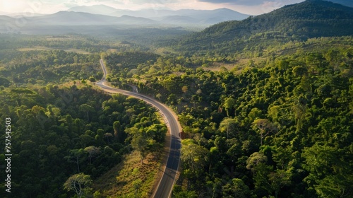 Aerial view of the road in the middle of the forest