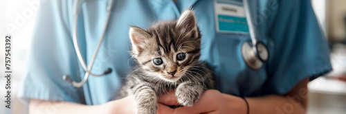 Adorable Kitten with a Veterinarian in a Vet Clinic Setting, banner with copy space