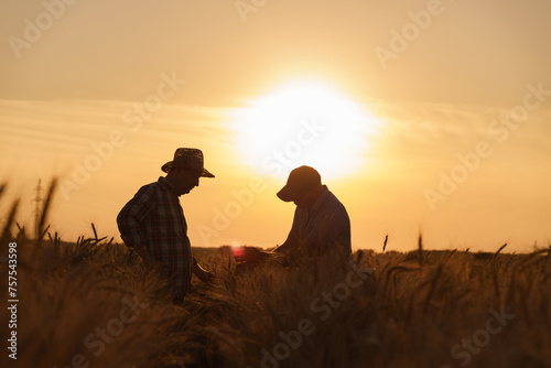Two farmers are discussing something in an agricultural field. Farmer in a wheat field. Rich Harvest Concept