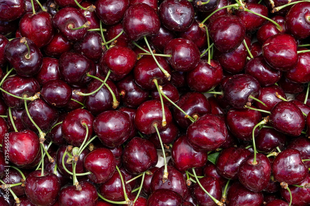 Realistic view of red cherries with all their textures and imperfections, against a red background, showcasing natural beauty Realistic view of red cherries with all their textures and imperfections, against a red background, showcasing natural beauty
