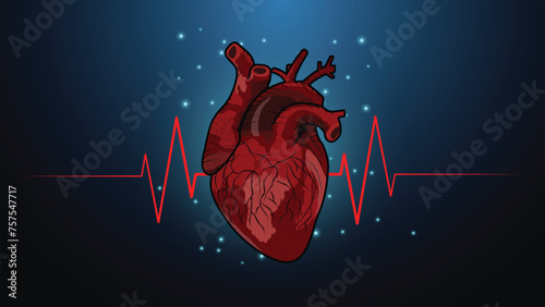 Human heart with red cardio pulse line,Vector illustration.