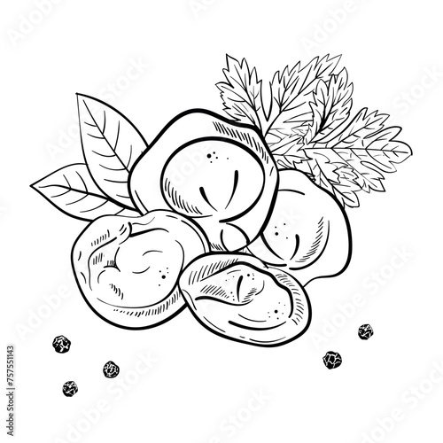 Dumplings composition. Bay and parsley leaf. Black pepper peas. Ink hand drawing. Food, vegetables isolated on white background. Book sketch illustration, recipe, menu, magazine or journal article.