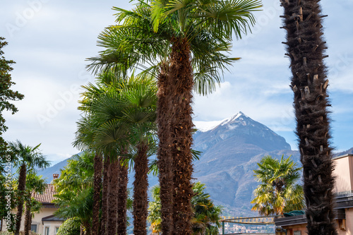 Fototapeta Naklejka Na Ścianę i Meble -  Tourist destination small medieval village of Bellagio with hilly narrow streets and luxurious villas, holiday destination on Lake Como, Italy