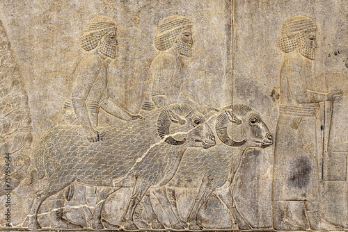 Iran. Persepolis, an ancient capital of the Achaemenid Empire (UNESCO). Apadana Palace, East Stairs, Southern part - the relief depicting a procession of Syrians bringing tribute to the king