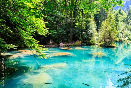 Blausee lake or Blue Lake in Bernese Oberland, Kandergrund, Switzerland photo