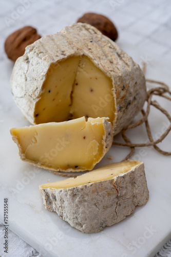 Italian hard cheese truffelino romano with black summer truffles mushrooms close up