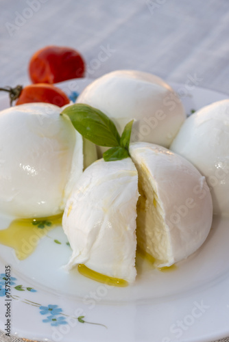 Cheese collection, white balls of soft Italian cheese mozzarella, served with olive oil, tomatoes, fresh basil leaves