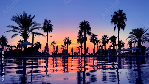 water sunset reflection palm tree