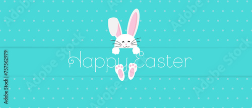 Easter rabbit, easter Bunny. Vector illustration. Easter Day. Happy Easter greeting card, banner with egg, rabbit. Easter Bunny, texture background.