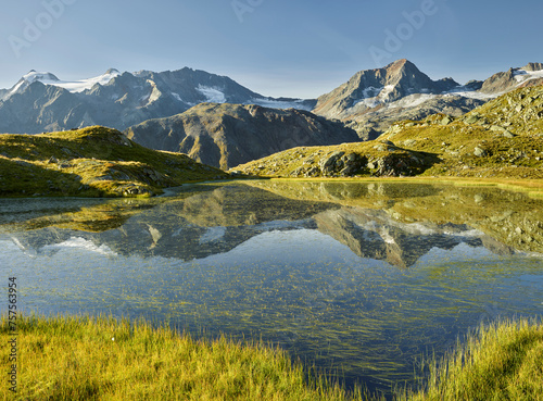 Mutterberger See  Wilder Freiger  Zuckerh  tl  Schaufelspitze  Stubaier Alpen  Tirol    sterreich