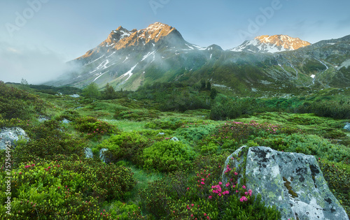 Kleine Lobspitze, Silvrettagruppe, Bielerhöhe, Vorarlberg, Österreich