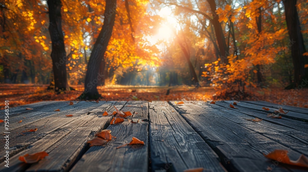 The surface of a wooden table framing a soft, blurred background of an autumnal forest park, the fall colors creating a warm and inviting atmosphere for seasonal product displays - obrazy, fototapety, plakaty 