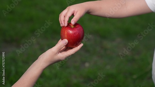 Little boy hand taking red ripe apple from mother arm with care and love at summer green grass closeup top view. Woman giving fresh vitamin fruit to son kid child with best feelings and tenderness