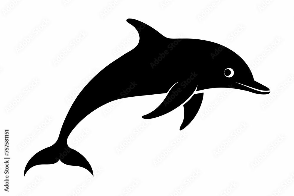 Dolphin silhouette and black on white background Dolphin silhouette and black on white background