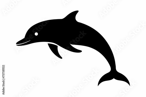 Dolphin silhouette and black on white background