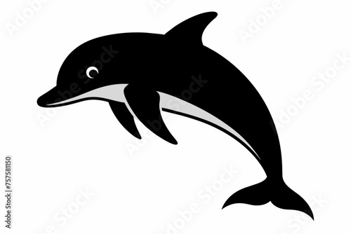 Dolphin silhouette and black on white background