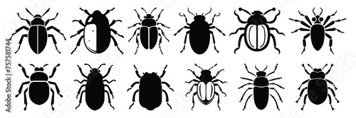 Insect bug icon silhouettes set, large pack of vector silhouette design, isolated white background © FutureFFX