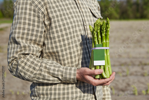 Farmer holding bunch of asparagus in hand on field background