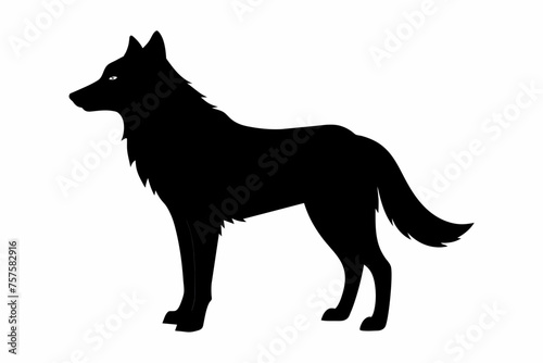 Wolf silhouette and on white background