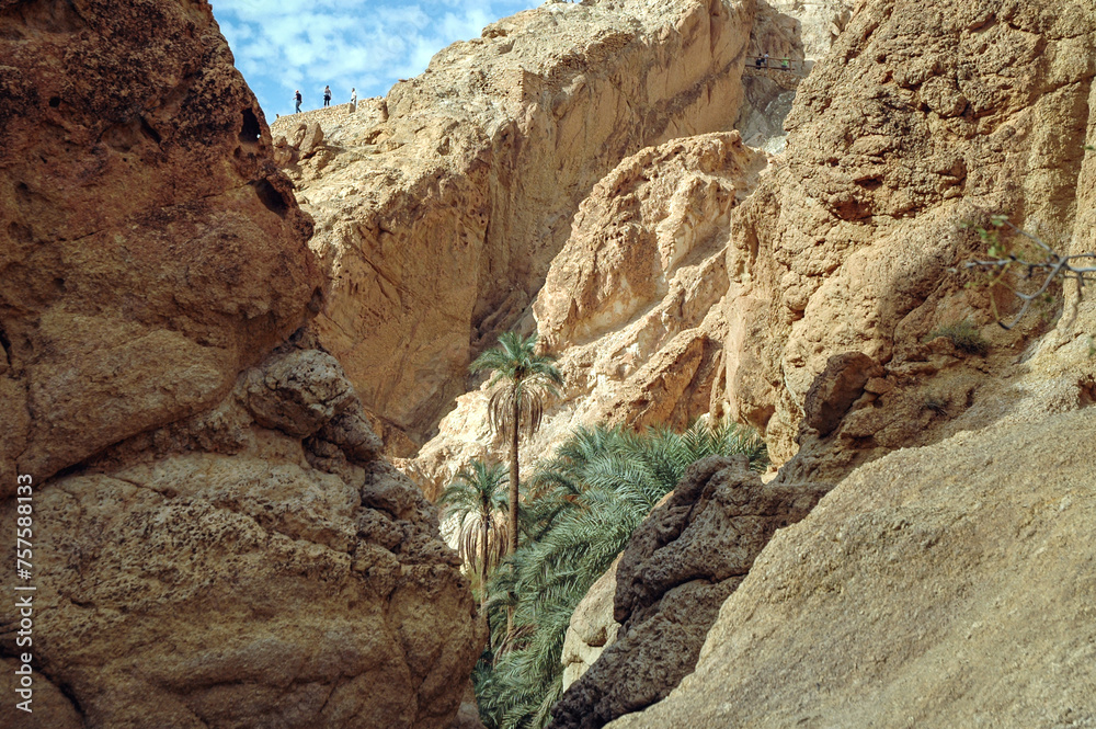 Canyon of Chebika mountain oasis in Tozeur Governorate, Tunisia