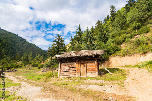 Mountain hut and black pig in Jiuzhaigou  Sichuan  China