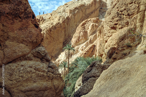 Canyon of Chebika mountain oasis in Tozeur Governorate, Tunisia