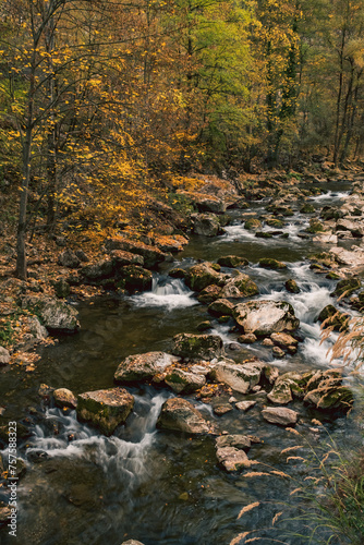 Water cascades in the forest during autumn  River Djetinja s Canyon near Uzice  Serbia