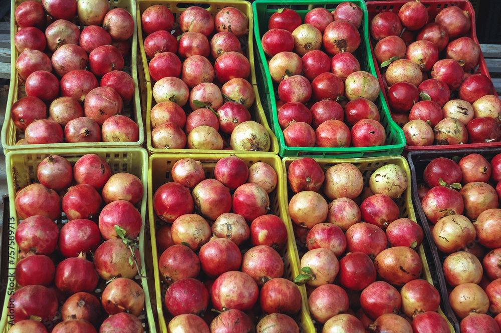Roadside stall with pomegranate for sale in Gabes region in Tunisia