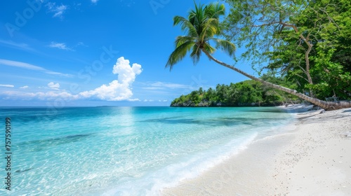 Tropical beach scene with clear blue water and white sand  palm trees  without people.