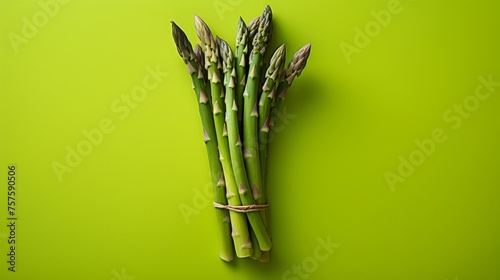 Vibrant Asparagus Against Lime Green