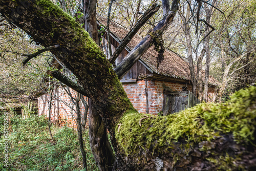 Farm building abandoned Stechanka village in Chernobyl Exclusion Zone, Ukraine photo