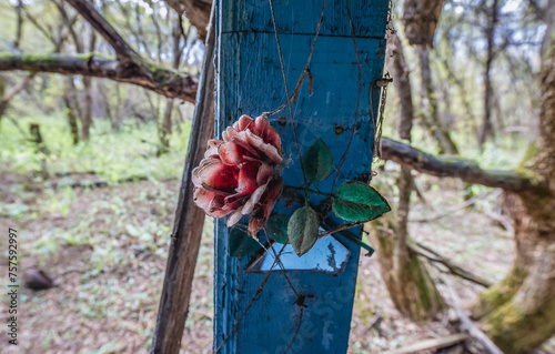 Plastic flower in abandoned Stechanka village in Chernobyl Exclusion Zone, Ukraine photo