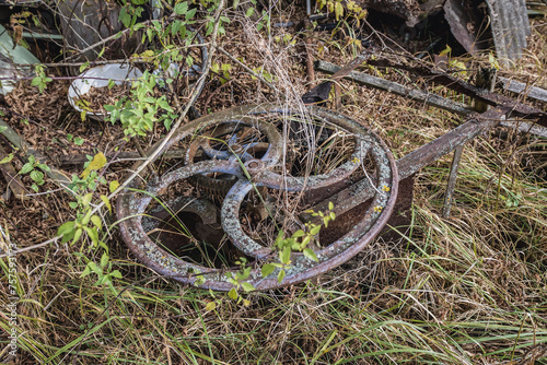 Old chaff cutter wheel in Illinci abandoned village in Chernobyl Exclusion Zone, Ukraine
