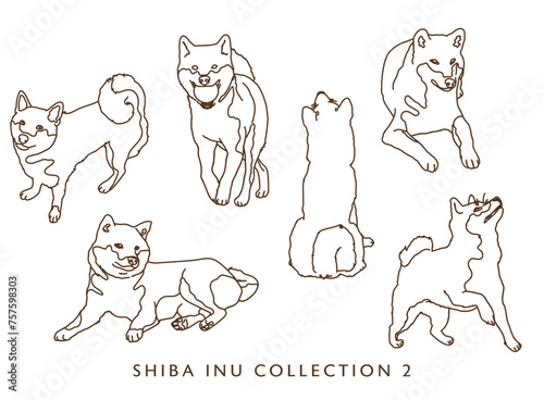 Shiba Inu Dog Outline Illustrations in Various Poses - Collection 2