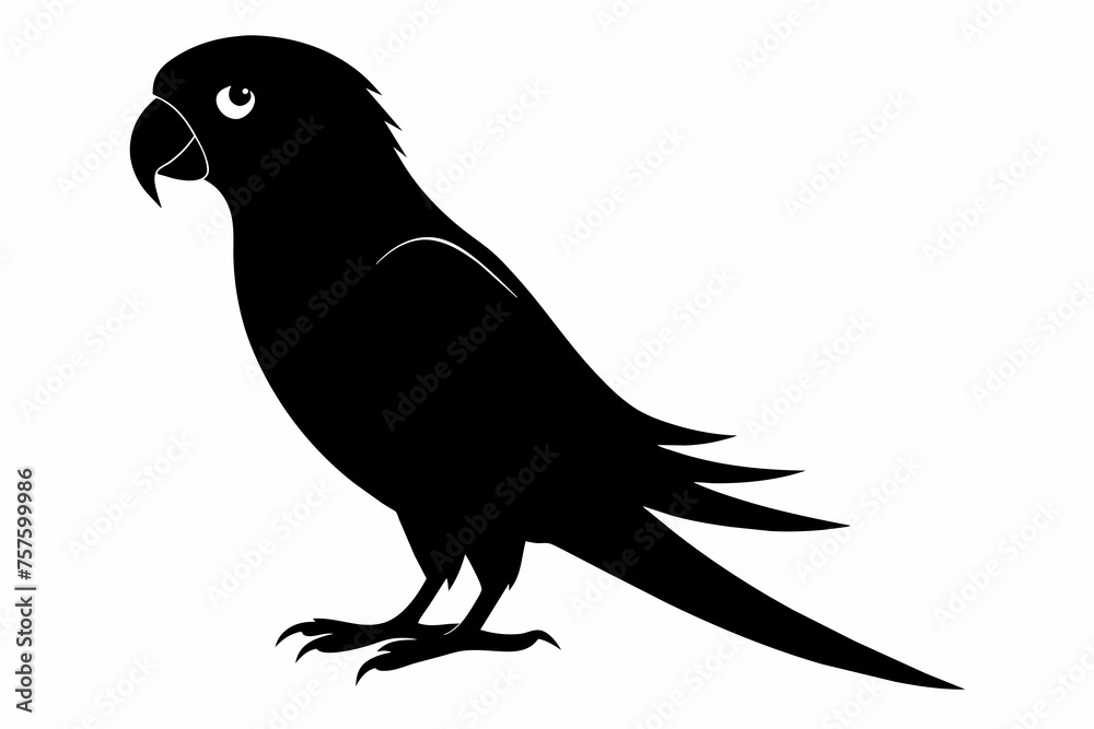 Obraz premium Parrot silhouette on white background