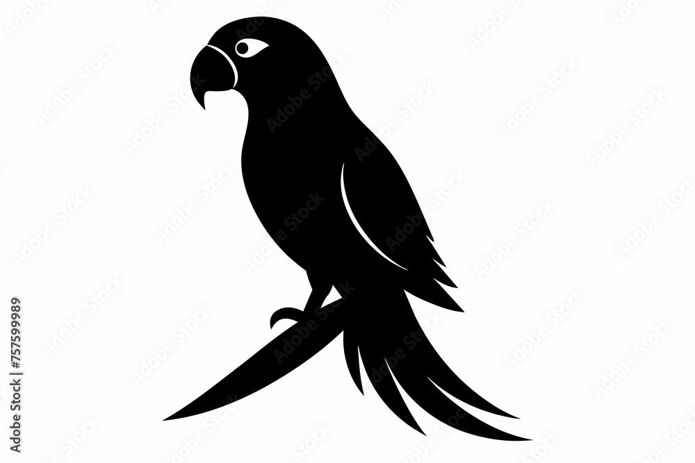 Parrot silhouette  on white background