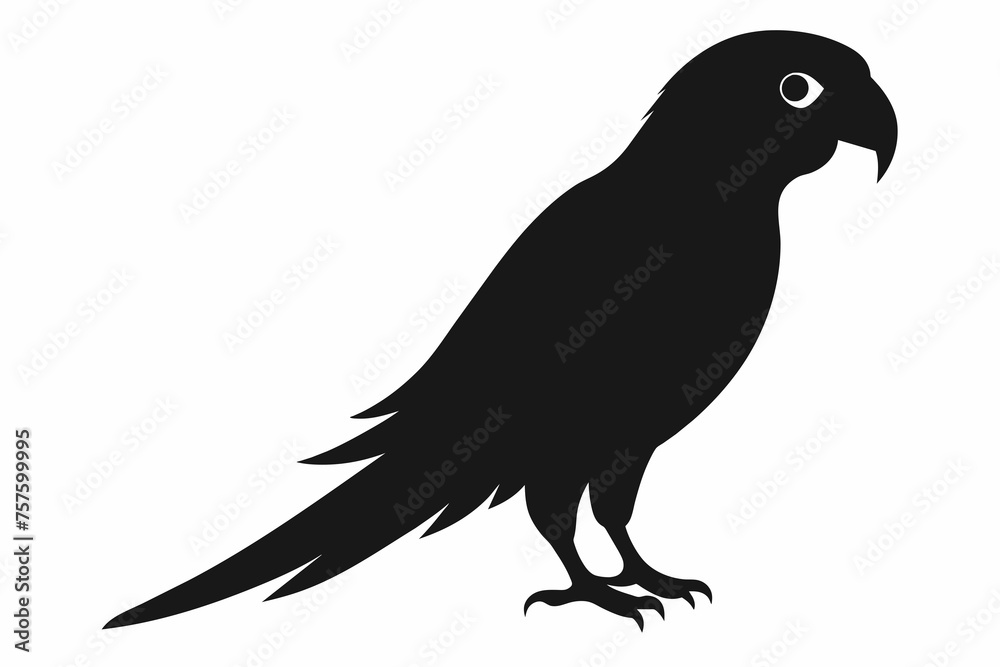 Obraz premium Parrot silhouette on white background
