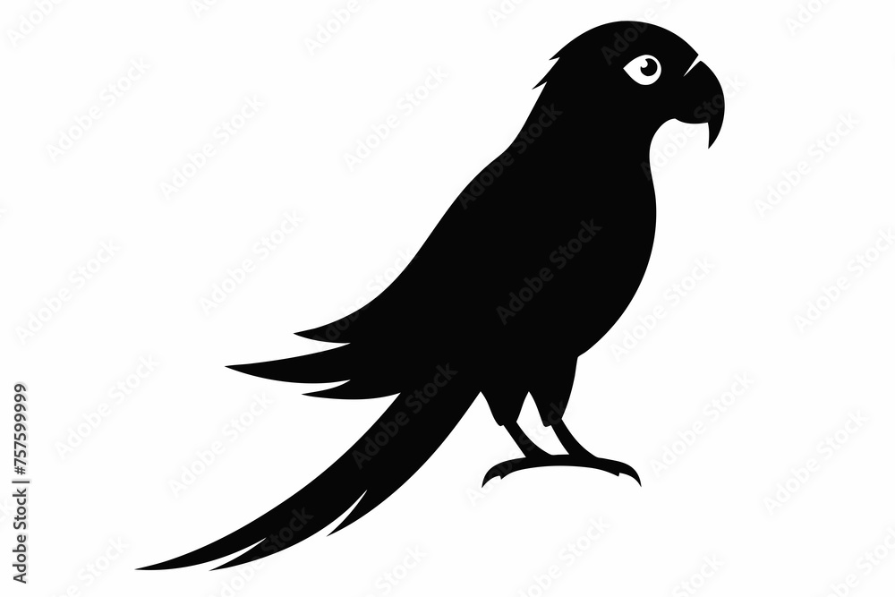 Fototapeta premium Parrot silhouette on white background