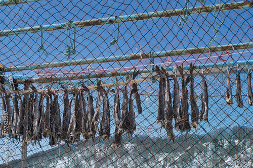 Wallpaper Mural 寒干しタラ Torontodigital.ca