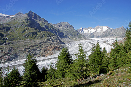 Aletsch Glacier, Jungfrau-Aletsch protected area, Bernese Alps, Switzerland