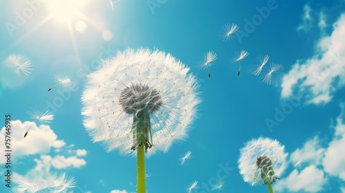 Dandelion seed floating away in the wind   close up macro shot capturing nature s delicate beauty