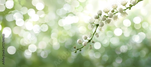 Serene beauty of nature abstract spring compositions reflecting tranquility with soft pastel tones