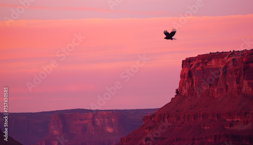 An eagle flies across a colorful sunset sky above a vast desert canyon