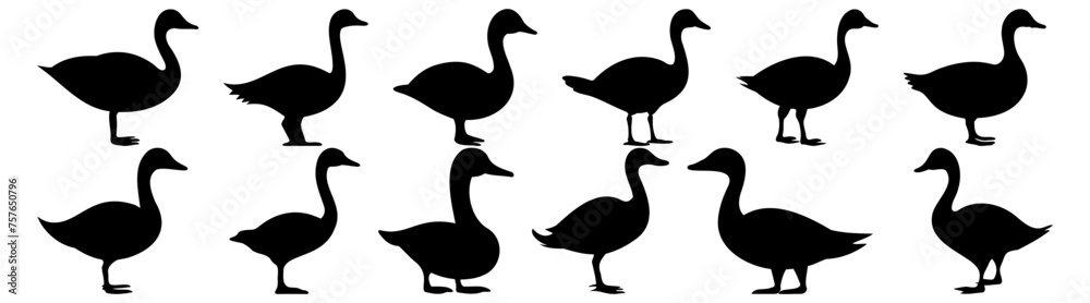 Duck hunting silhouette set vector design big pack of illustration and icon Duck hunting silhouette set vector design big pack of illustration and icon