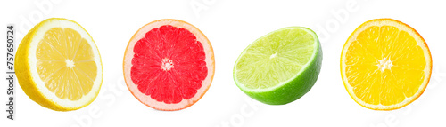 Citrus fruits. Cut fresh lemon  grapefruit  lime and orange isolated on white  set