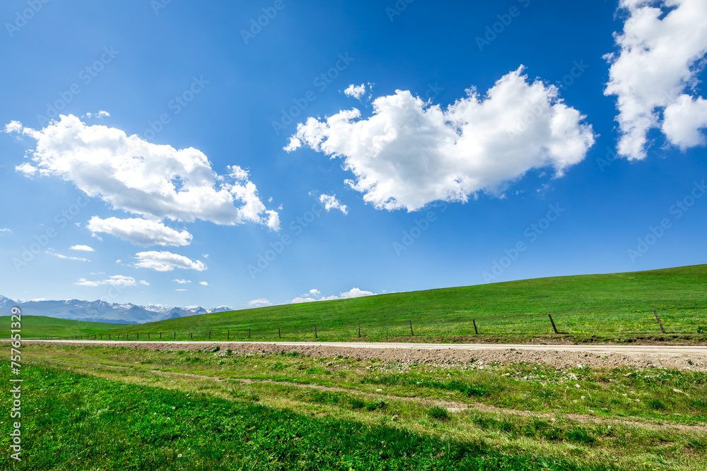 Country road and green grassland nature landscape under blue sky