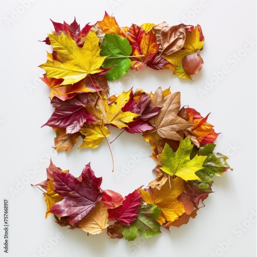 Autumn Leaves Arranged in a Spiraling Number five on White Background