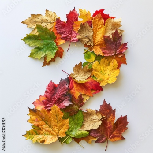 Autumn Leaves Arranged in a Spiraling Number two on White Background