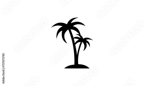 palm tree silhouette